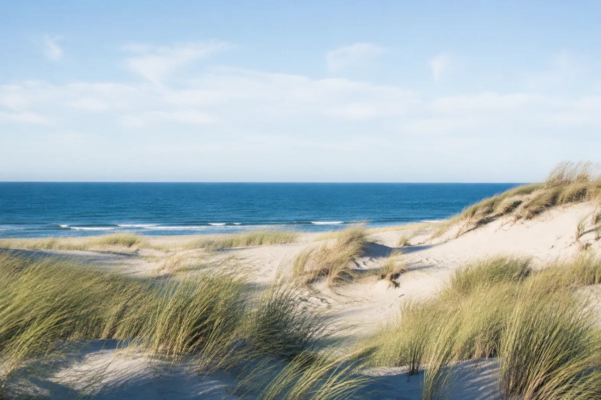 Dunes et bord de mer, paysage d’inspiration